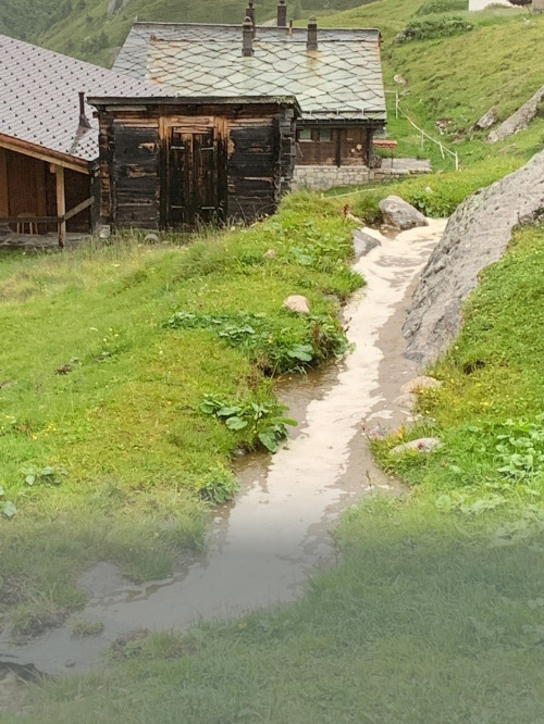 Déversement de purin dans un ruisseau, Naters, 2021